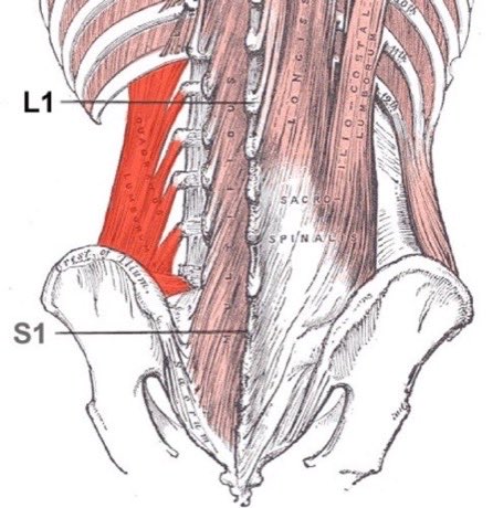 腰方肌